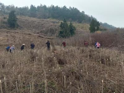 大木厂镇安阳沟村： 抢抓农时促发展 绘就产业新篇章