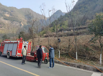 房县林业局：柿树“逢甘霖”  管护促增收