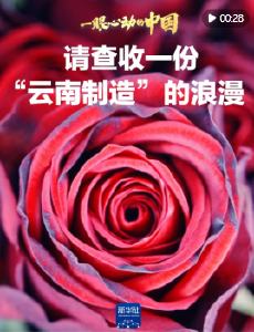 一眼心动的中国｜请查收一份“云南制造”的浪漫