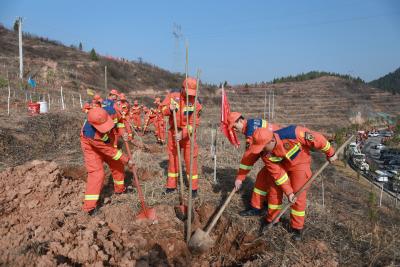 房县消防救援大队：春回大地万物苏 植树添绿正当时