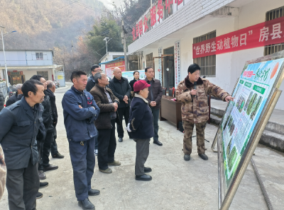 房县林业局：开展“世界野生动植物日”宣传活动