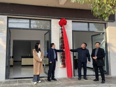 化龙堰镇：镇投公司聚合力 强村富民促振兴