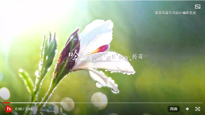 AIGC创意音乐短视频｜春日序曲