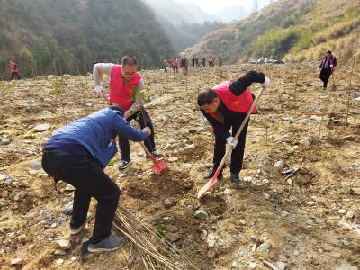 姚坪乡：植此青绿不负春光  开展春季义务植树活动
