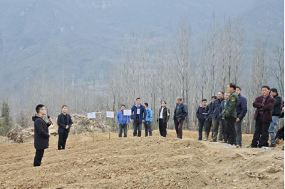 科技“施肥”助增收 田间“课堂”促振兴 ——房县万峪河乡召开平衡施肥暨起垄技术现场会 