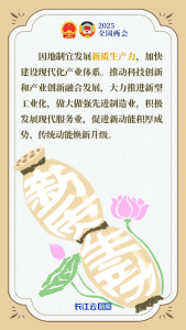 “藕”遇中国 | 两会热词“藕”来拼 