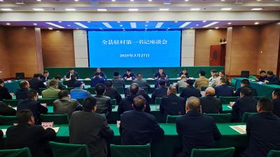 我县召开驻村第一书记座谈会