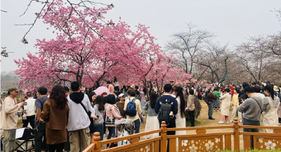 牢记嘱托 建成支点·市州委书记说④丨锚定世界级，迈向万亿级