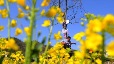 野人谷镇西蒿坪村：“苗”绘春耕图