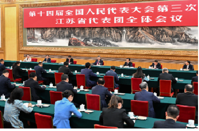 两会新华社快讯：习近平参加江苏代表团审议