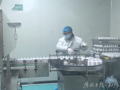 从94万元到1028万元的飞跃——恩施市七里坪街道创新壮大村集体经济观察