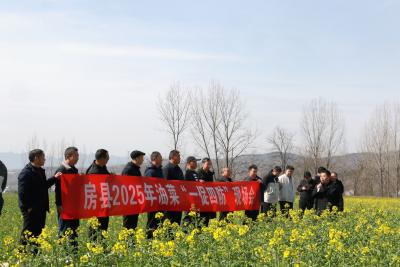房县举办2025年油菜“一促四防”现场会