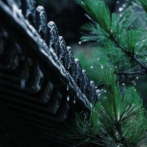 学习时节丨铭记历史、吾辈自强：感悟总书记这些铿锵话语