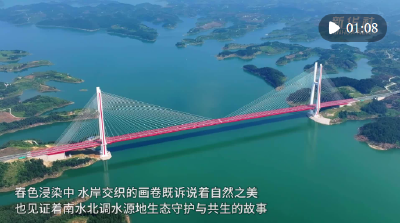 湖北丹江口：一泓碧水映春光