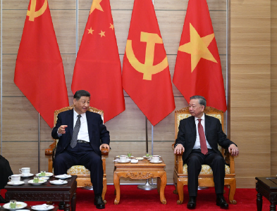 习近平同越共中央总书记苏林话别