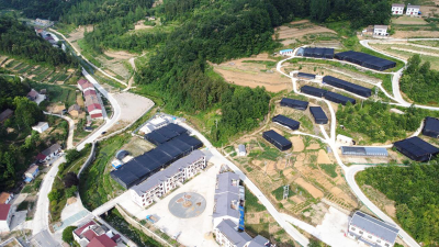 沙河乡：党建引领强作风 实干担当促振兴
