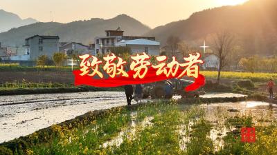 房县：五一，向劳动者致敬