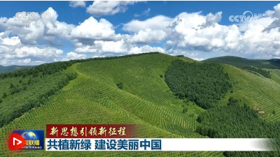 【新思想引领新征程】共植新绿 建设美丽中国