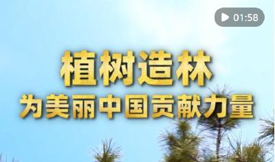 植树造林 为美丽中国贡献力量