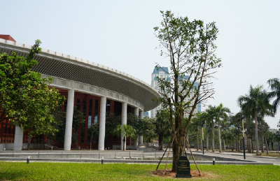 心相近｜“中越友好的根基在人民”——习近平主席引领推动中越传统友谊恒久常新