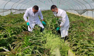 房县公共检验检测中心：严把农产品质量关 守护群众“舌尖上的安全”