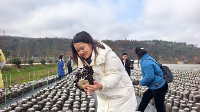 【服务支点建设 树立青年榜样】乡土人才文龙香