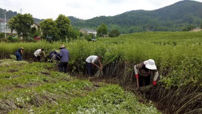 时政微周刊丨总书记的一周（4月14日—4月20日）