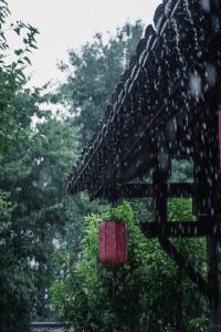 学习时节｜总书记的牵挂，照亮这项“春天的事业”