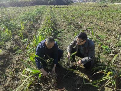 【央视快评】共同续写爱我人民爱我军的时代新篇