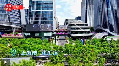 习近平上海行丨聚力大模型 智启新未来——走进上海“模速空间”大模型创新生态社区
