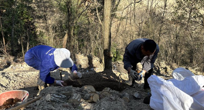 九道乡咸池沟村：发展天麻 种下希望