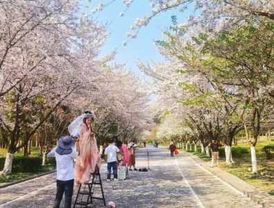 学习武汉，宜昌如何玩“花样”