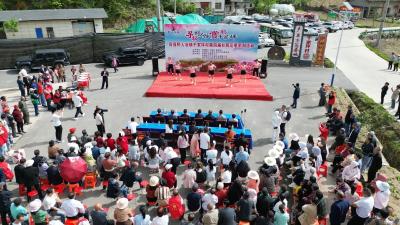 野人谷镇千坪村：杜鹃花季开幕 引爆乡村游热度