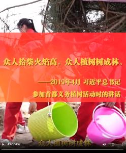 微视频｜青山添绿向未来