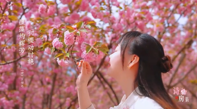 房县：一路生花  步步成诗