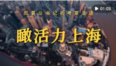 跟着总书记的考察足迹｜瞰活力上海