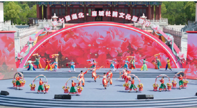 一朵花如何点燃一座城的“诗与远方”？——麻城市以花为媒带动全域文旅产业发展