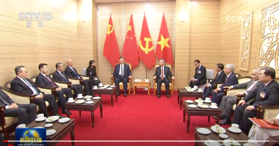 习近平同越共中央总书记苏林话别
