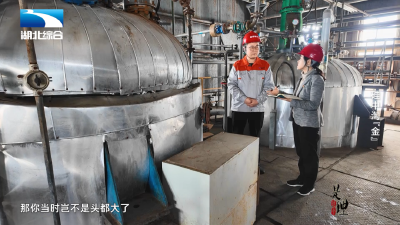 《是这个理》：硅中淘“金”