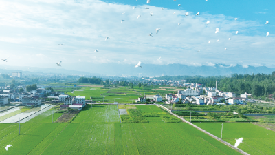 外国游客饱览荆山楚水、体验真实中国：我们像在一幅山水画里航行