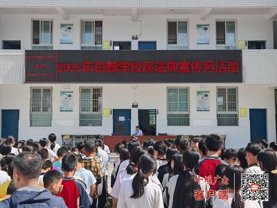 房县白鹤镇：“典”亮法治灯塔 共绘校园画卷