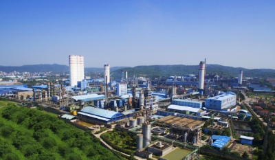 从政府“笔杆子”到项目“泥腿子”——当阳“三个一批”锻造新时代干部队伍