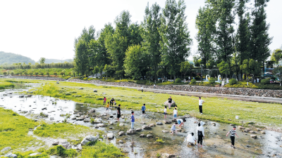 邂逅湿地公园 尽享美好时光