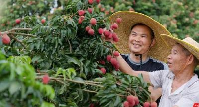 农产品电商销售连续六年全国第一！广东做对了什么？