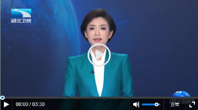 聚焦第二十届光博会 | 记者观察：从“看海的窗”到“出海的路”