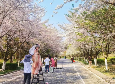 学习武汉，宜昌如何玩“花样”