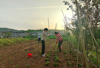 化龙堰镇：“5+2”实践 锻造“硬核”队伍——从“泥腿子”到“多面手”的乡村振兴答卷 