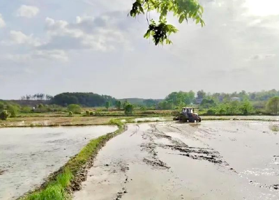 追“新”逐“智”，鄂州农业机械化率达78%