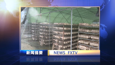 房县新闻20250520