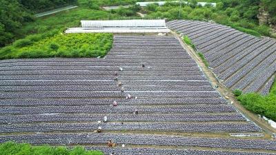 湖北省教育厅党组书记、厅长周静：以教育之强夯实支点建设之基